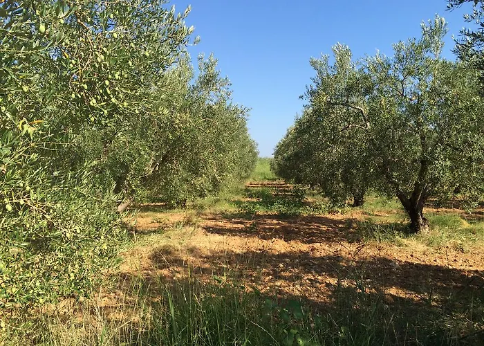 Kostas House Γερακινή