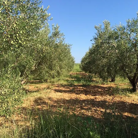 Kostas House גראקיני